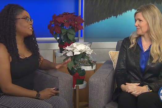 CEO and Founder, Julia Carlson, went on KOIN 6's Everyday Northwest to discuss 3 things you can do before the end of the year